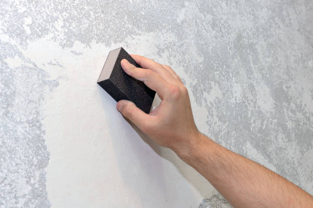Best Mold Damage Restoration  in Green Valley, MD