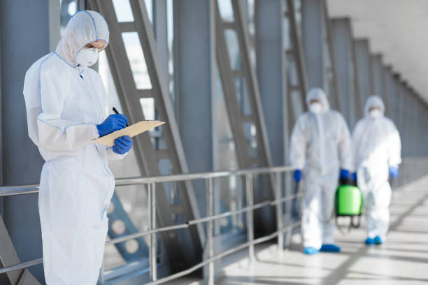 Environmental Consulting for Mold Prevention in Green Valley, MD