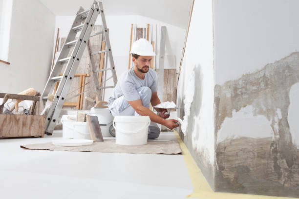 Best Mold-Related Health Consultation  in Green Valley, MD