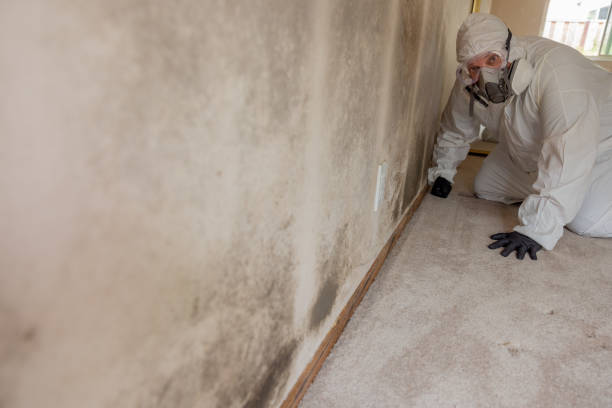 Best Airborne Mold Testing  in Green Valley, MD