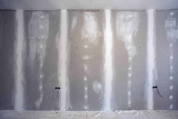 Best Attic Mold Removal  in Green Valley, MD